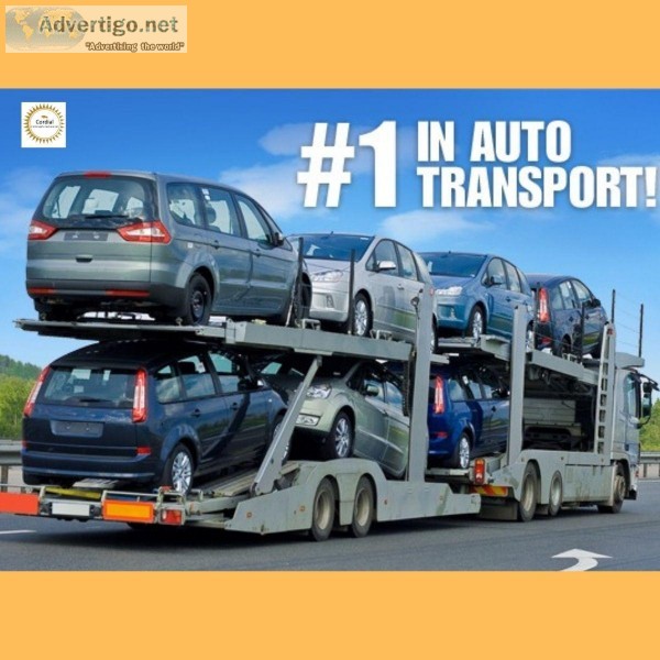 Car Transport on Affordable Prices