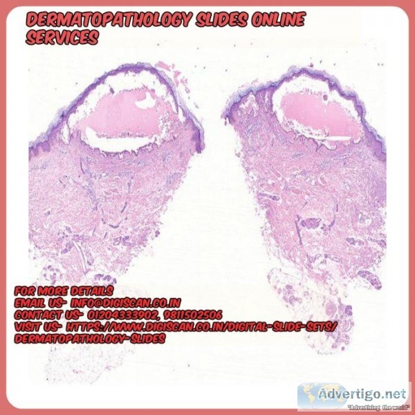 Dermatopathology slides