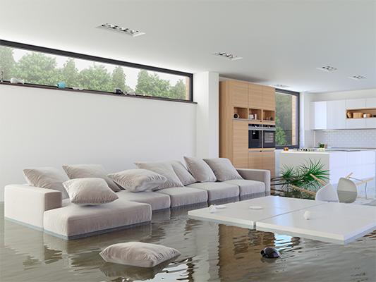 Affordable Water Damage Home Repair Service Company in Fort Wort