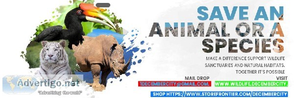 Adopt or support Endangered Wildlife