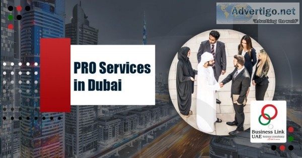 Best pro services in uae | business link uae