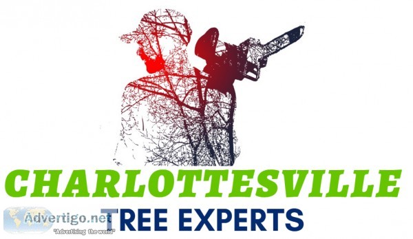 Tree Service Charlottesville Va