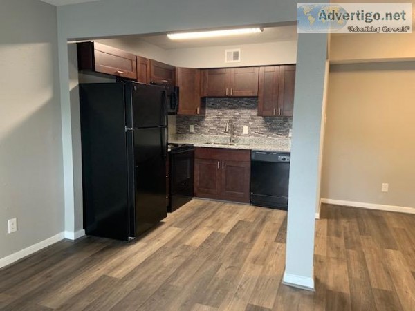 Upgraded one bedroom and one bath with washer and dryer 1049