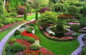 Residential and Commercial Landscape Services in Irvine