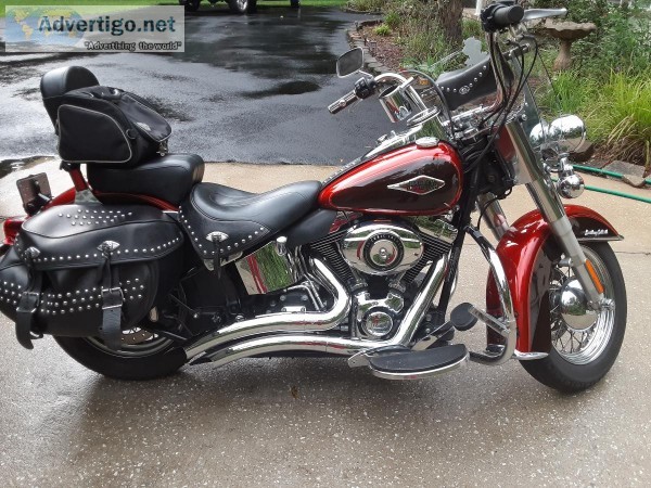 2013 Harley Davidson Softtail for Sale