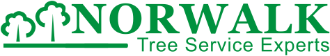 Norwalk Tree Service Experts