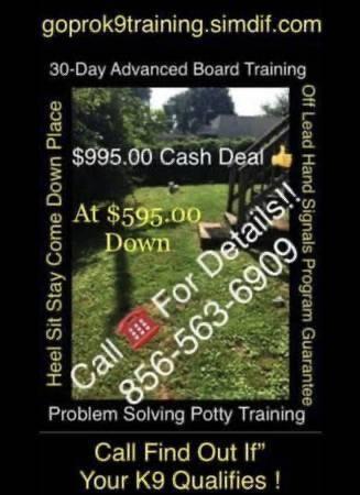 Dog obedience programs