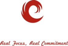 web design and development services - Starvish