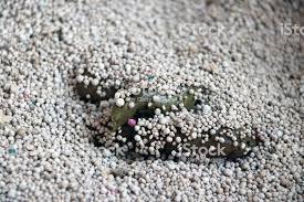 Sodium Bentonite Cat Litter