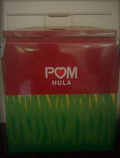 Pom Hula Metal Portable Chest Cooler Box Top Quality JUST 15