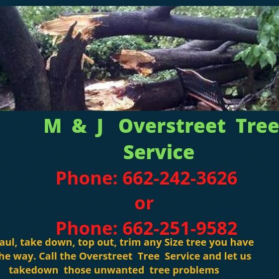 M and J Overstreet Tree Service