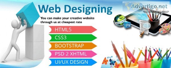 The Webboss Attractive Web Designing Company in Delhi NCR