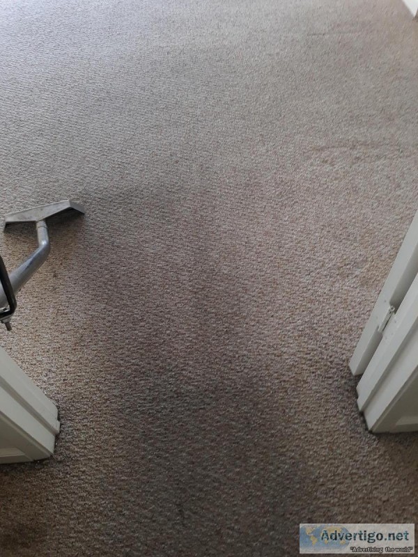 Professional deep carpet cleaning cleaning service