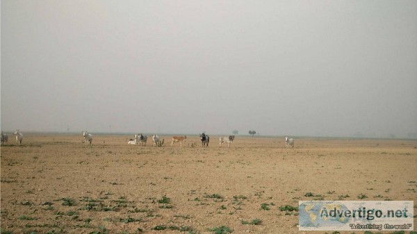 4640 Sq Yards commercial Plot in High access Corridor Panchi Vil