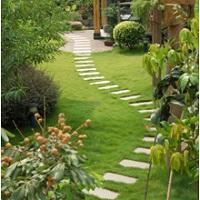 LIDC Irrigation and Landscape