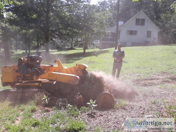 A1 Stump Grinding