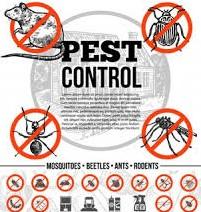 Dodson Pest Control
