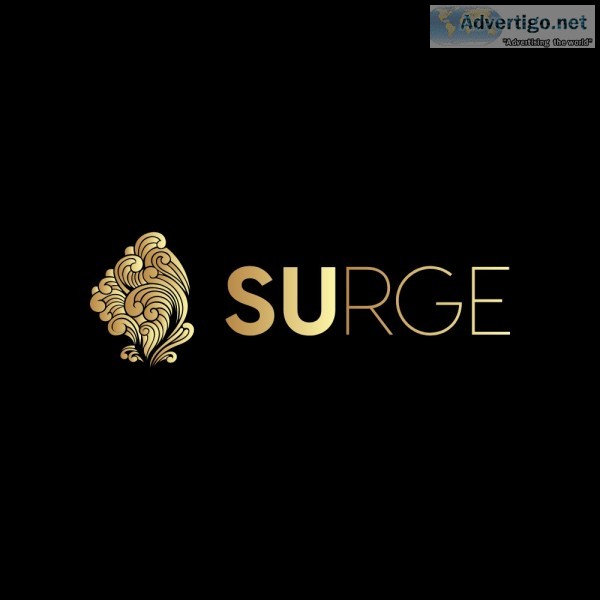 Surge digital agency