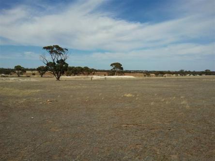 Residential Land for Sale in Dholera SIR TP2 Scheme