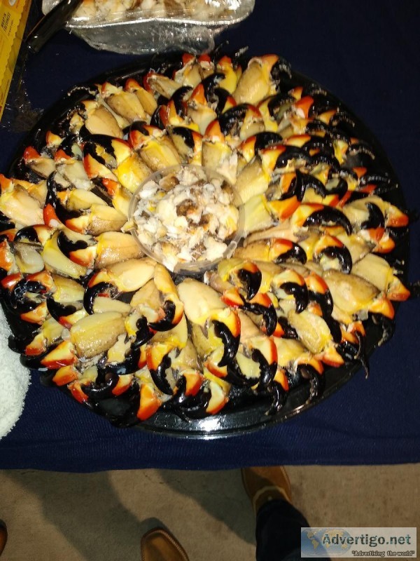 Stone crab