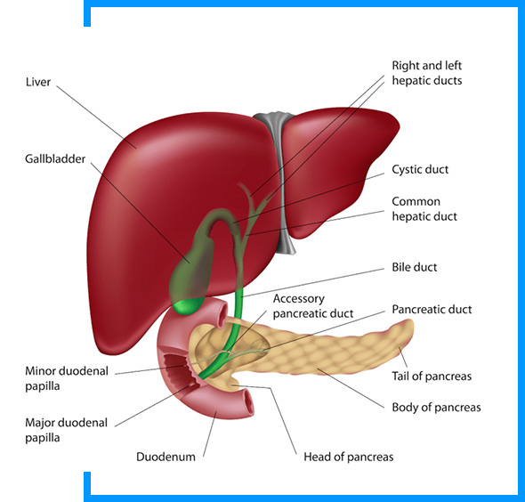 Dr anil sharma is a pioneer of laparoscopic solid organ surgerie