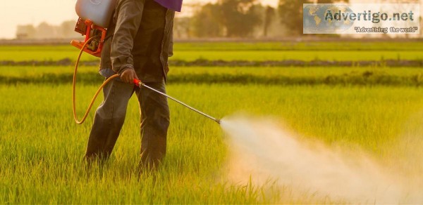 Best Pest Control Services in Noida