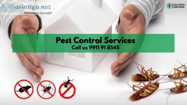 Select the Best Pest Control Services in North Delhi