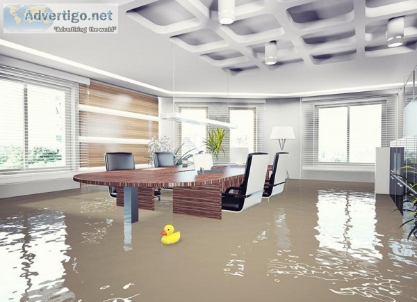 How to Find The Best Flood Damage Repair Services in Fort Worth