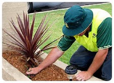 Lawn Mowing Chadstone