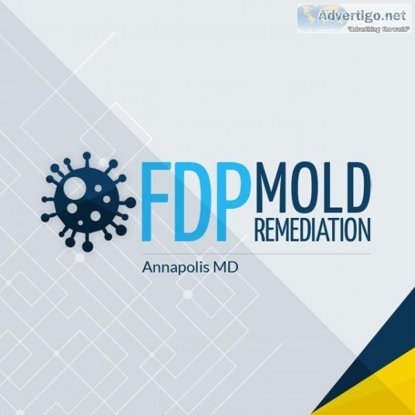 FDP Mold Remediation  Mold Remediation Annapolis