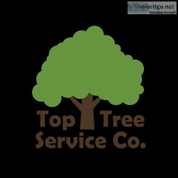 Top Tree Service Co.