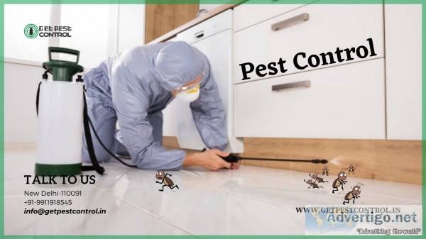 Pest control in chennai, pest control charges in chennai