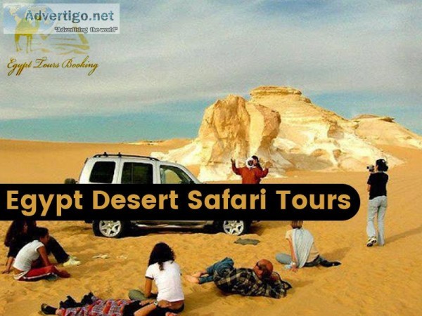 The Best Tour companies in Top Egypt Day tours