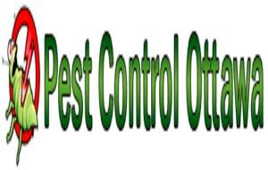 Bed Bugs treatment