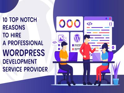 Top Reasons to hire a professional WordPress development service