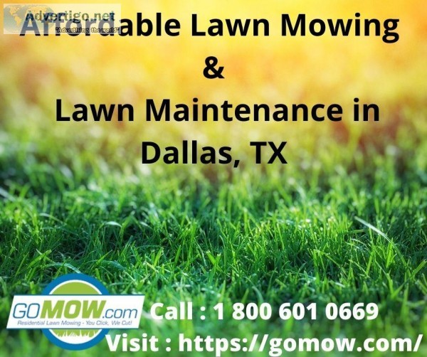 Affordable Lawn Mowing and Lawn Maintenance in Dallas TX - Gomow