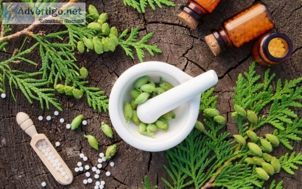 Searching Homeopathic Treatment for Urine Infection