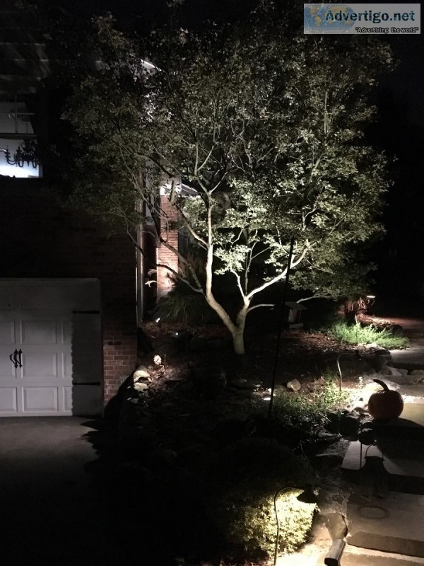 Landscape Lighting in Orangeburg NY