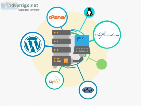 Web Hosting