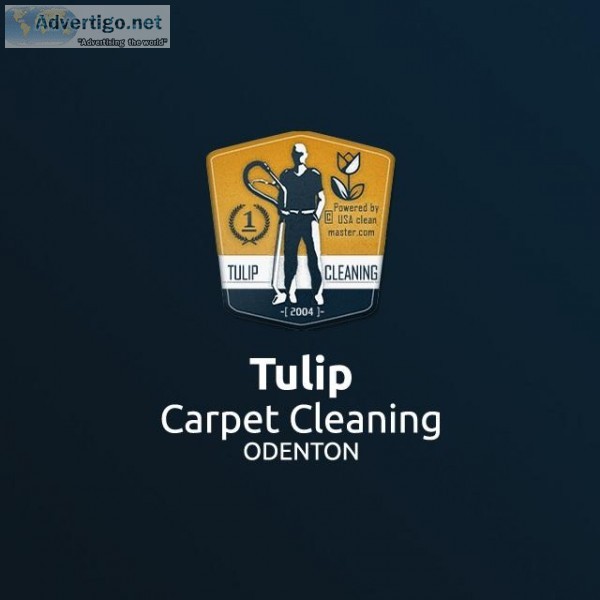 Tulip Carpet Cleaning Odenton  Carpet Cleaning Odenton