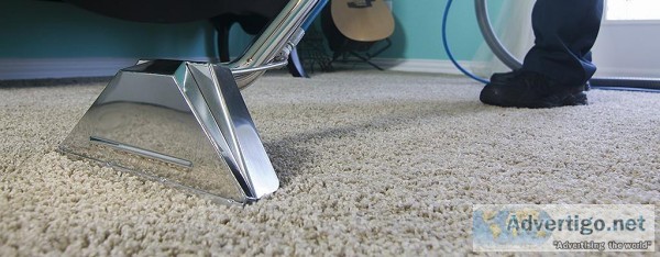 Sandyford Carpet Cleaning Company  Sandyfordcarpetclean ing.ie