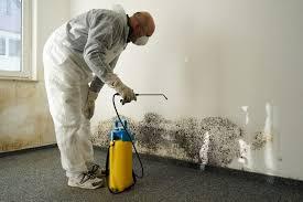 Mould Cleaning Gold Coast