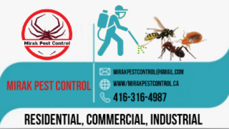 Affordable pest control services toronto