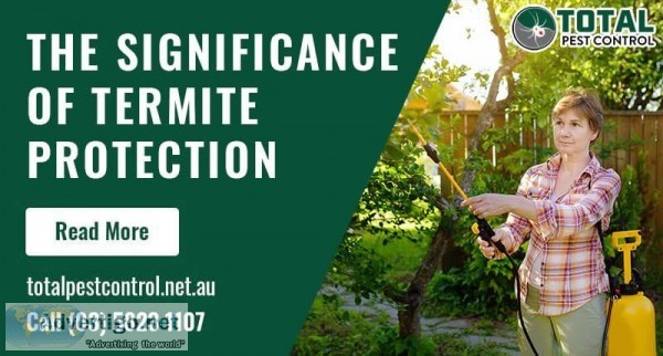 The Significance of Termite Protection Shepparton