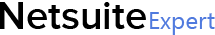 Netsuite Service Providers  NetSuite Consulting Services