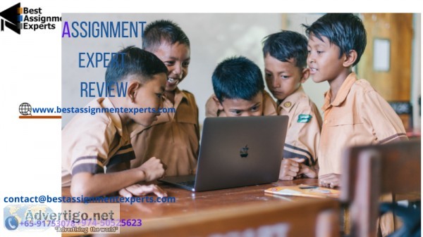 Assignment Expert Review