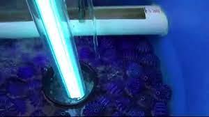 Find the Best UV Light for Koi Pond &ndash Torii Koi Farm