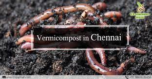 Vermicompost in tamilnadu 