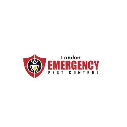 London Emergency Pest Control