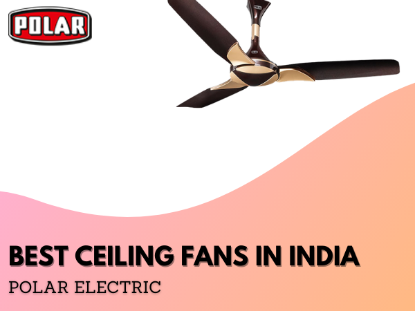 The Best Electric Appliance Brand Polar India